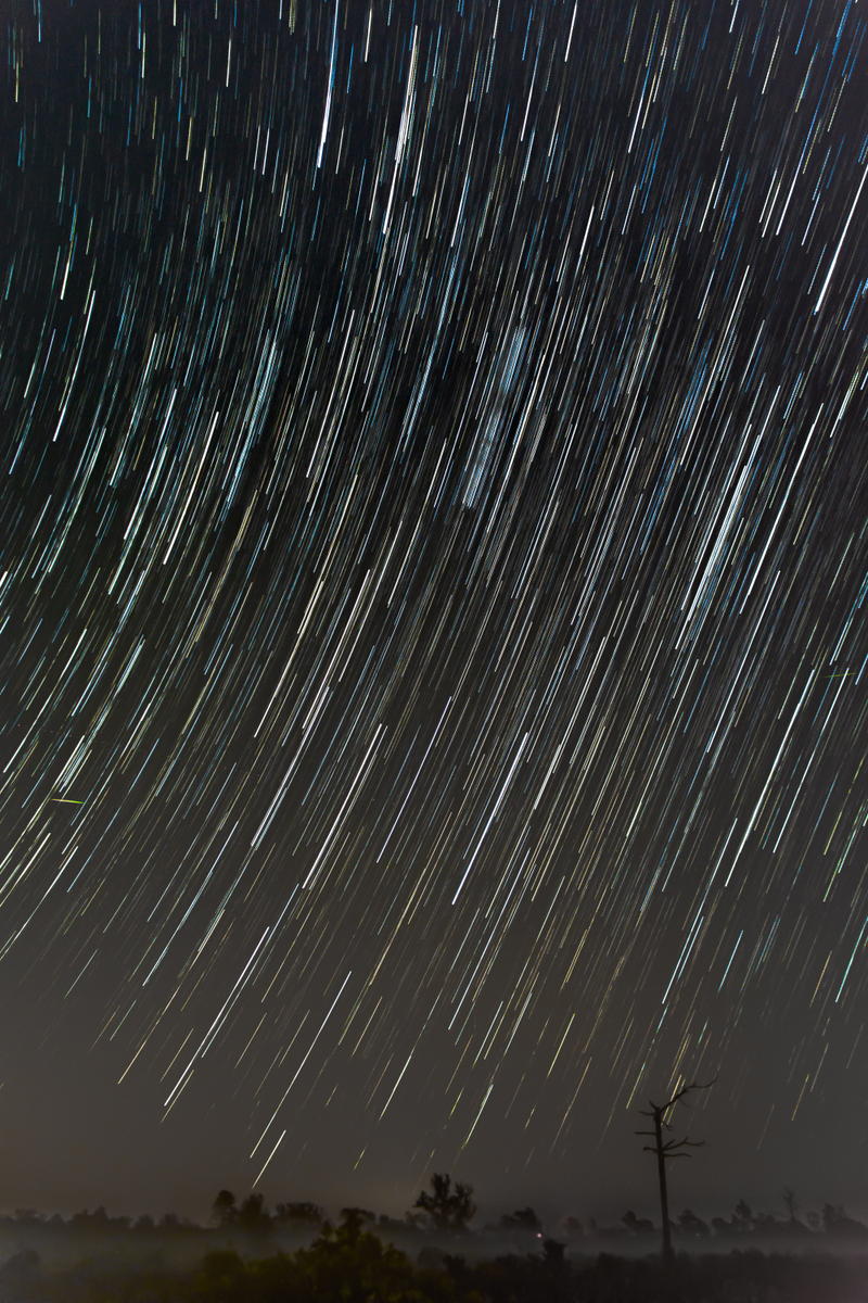 Illustration for article titled Leonid Meteors